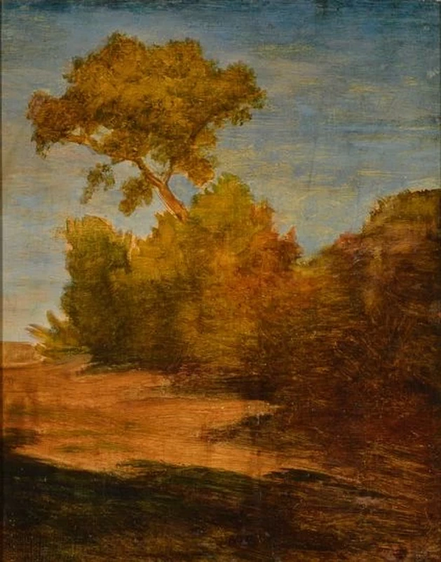 Pianta - Museo del Territorio Biellese, Biella